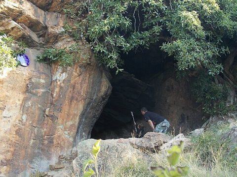 Melville Koppies