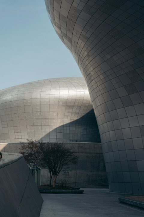 Dongdaemun Design Plaza (DDP) & Market