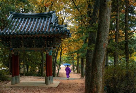 Ikseon-dong Hanok Village