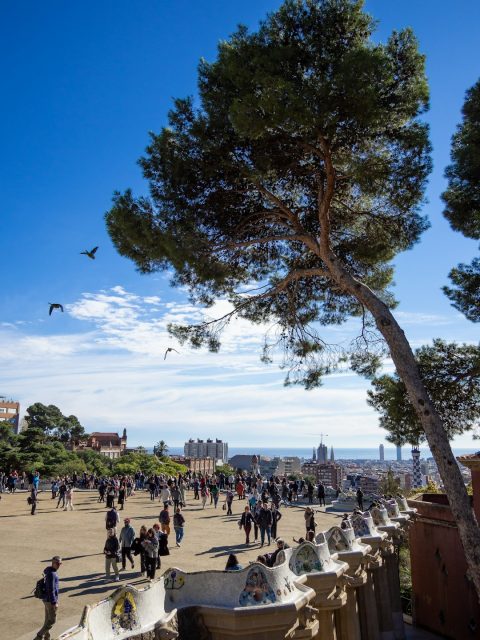 Barcelona Zoo