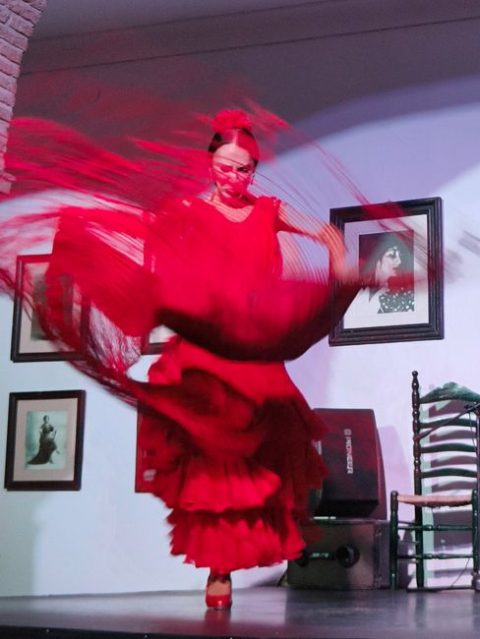 Flamenco Show