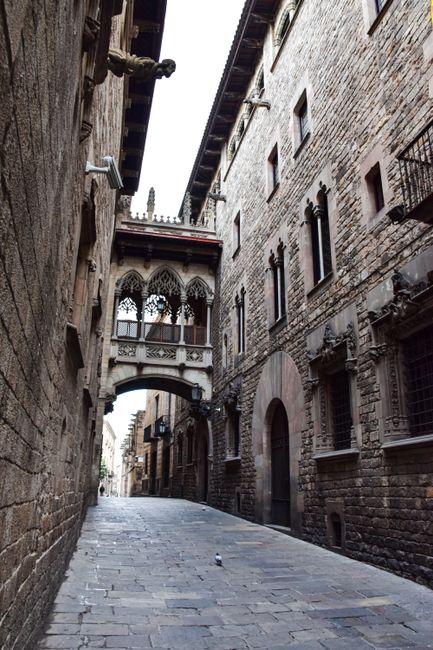 Gothic Quarter Walking Tour