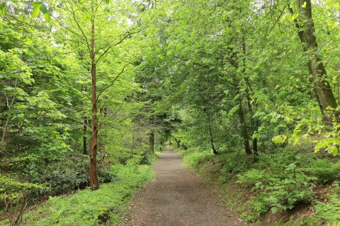Ses Feixes Wetlands Nature Walk