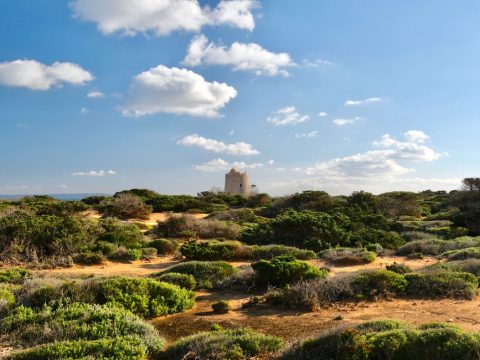 Ses Salines Natural Park