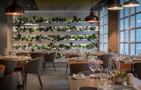 Bloved Restaurante