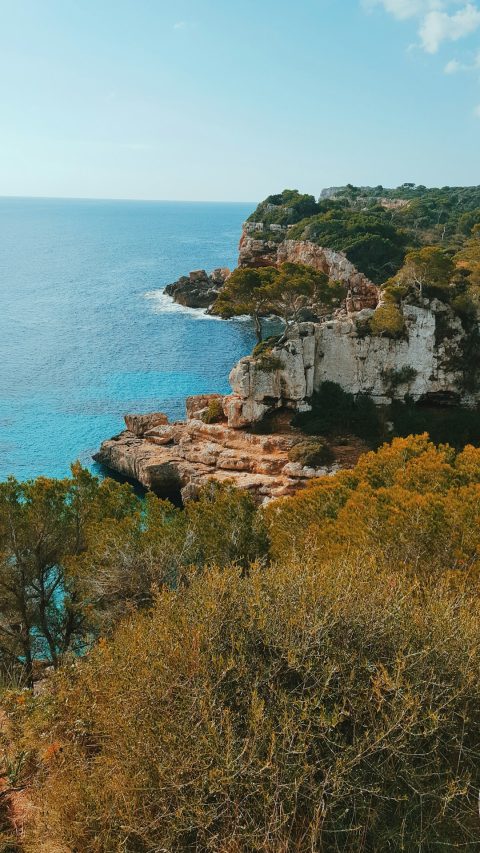 Jardins d'Alfàbia