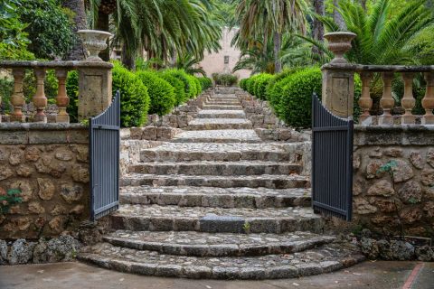 Jardins de Alfabia to Raixa Estate Backroads