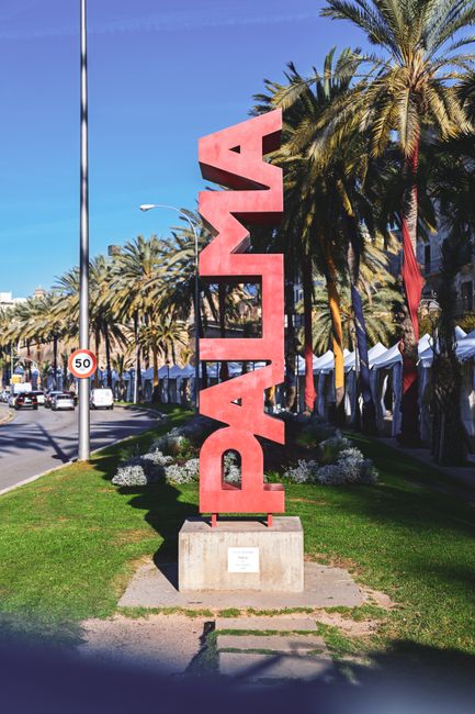 Pacha Palma