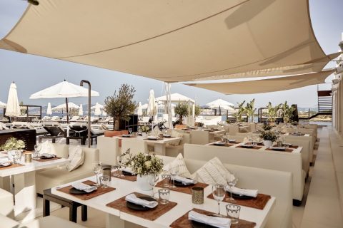 Purobeach Palma