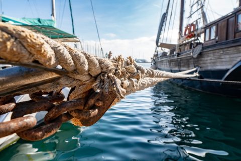 Sailing & Catamaran Tour, Palma Bay