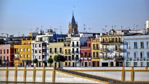 Calle Betis Bar Strip