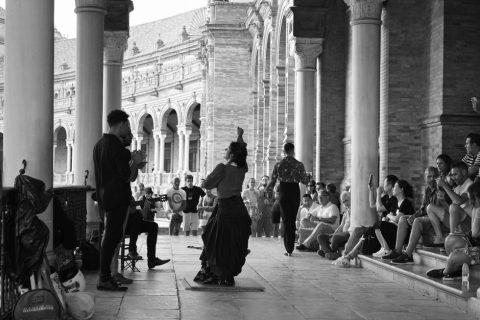 Flamenco Shows