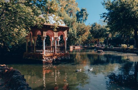 Jardines de Murillo