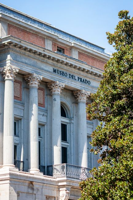Museum of Fine Arts (Museo de Bellas Artes)