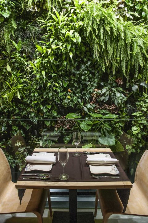 Restaurante Terraza De La O