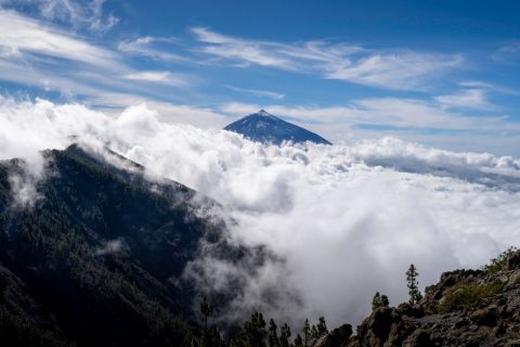 La Palma