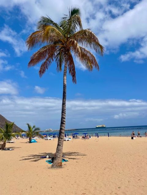 Playa del Duque