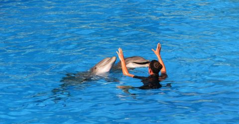 Siam Park