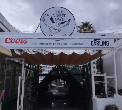 The Night Owl Tenerife