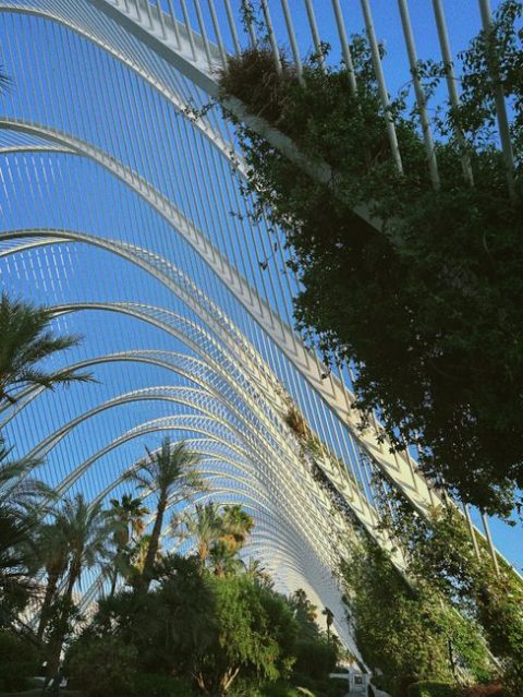 Botanical Garden (Jardín Botánico)