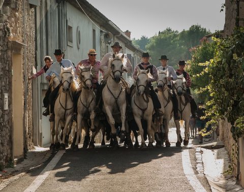 Feria de Julio (July Fair)