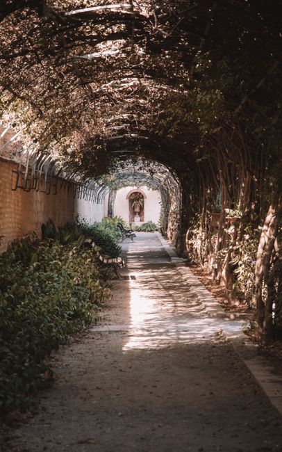 Jardines de Monforte