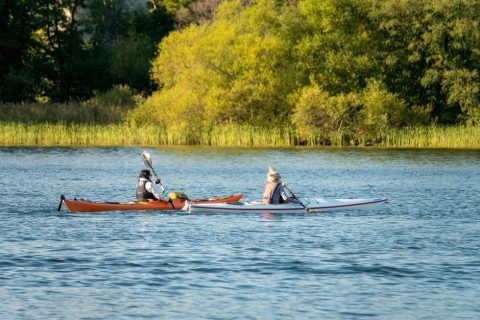 Kayaking Tours