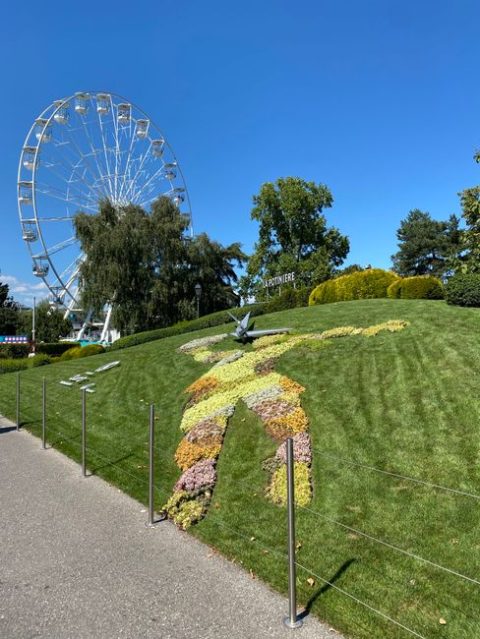 Botanical Garden (Jardin Botanique)