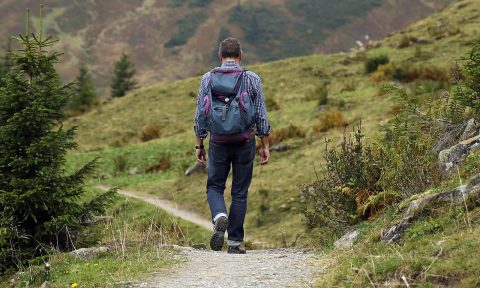 Jura Mountains Hiking