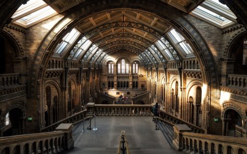 Musée d'Histoire Naturelle