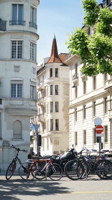 Walking Tours of Old Town