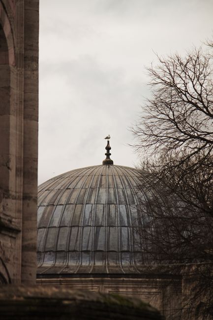 Süleymaniye Mosque