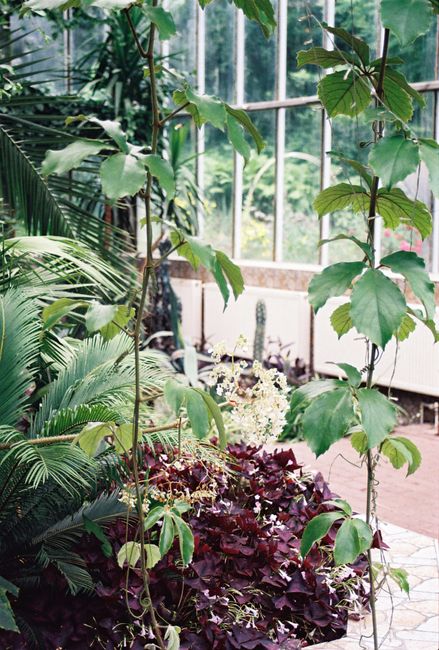 Botanical Garden