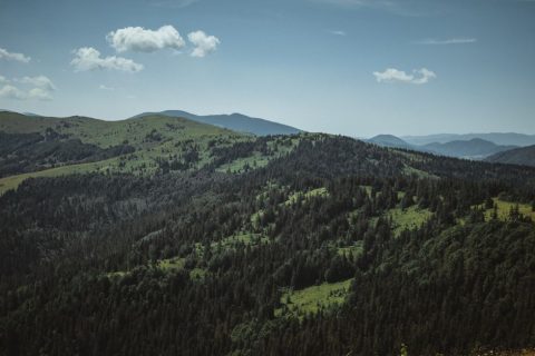 Carpathian Mountains Hiking