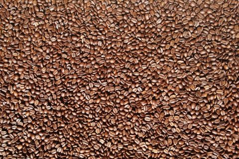 Coffee Roastery Tours