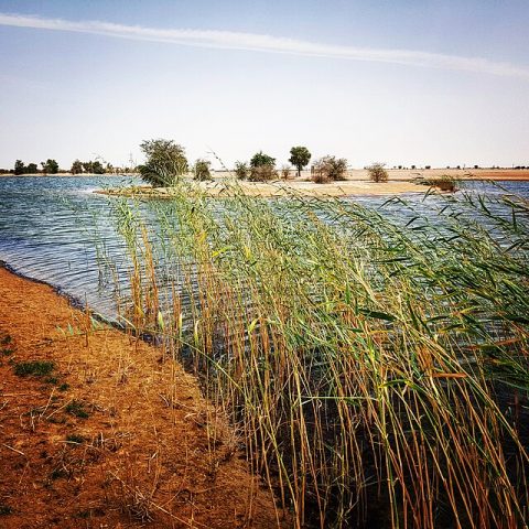 Al Qudra Lakes