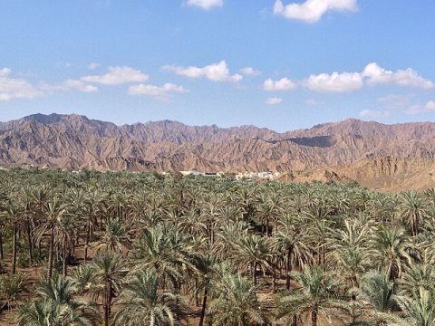 East Coast (Fujairah)