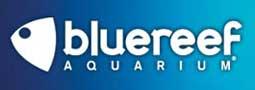 Blue Reef Aquarium Newquay