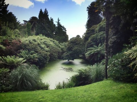 Trebah Garden