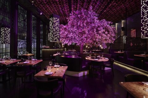 Tattu Manchester