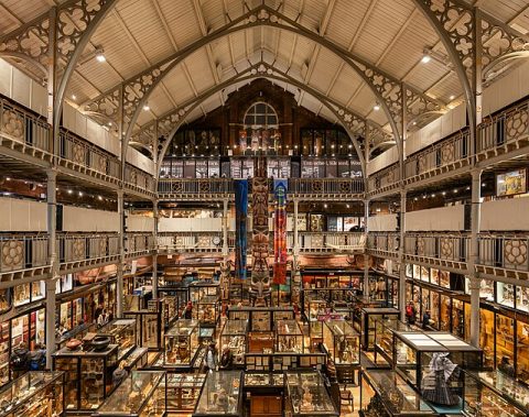 Pitt Rivers Museum
