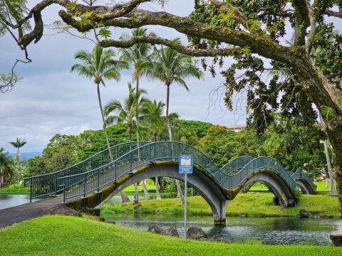 Downtown Hilo