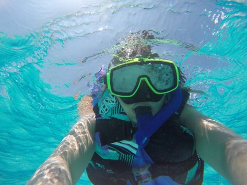 Kealakekua Bay Snorkeling