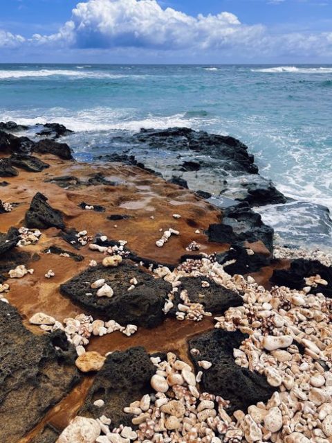 Old Kona Airport Park Tide Pools