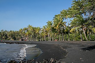 Punalu'u Black Sand Beach
