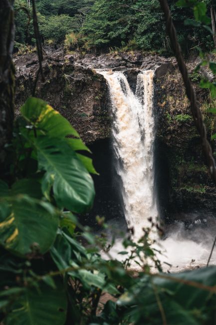 Rainbow Falls (Waianuenue)