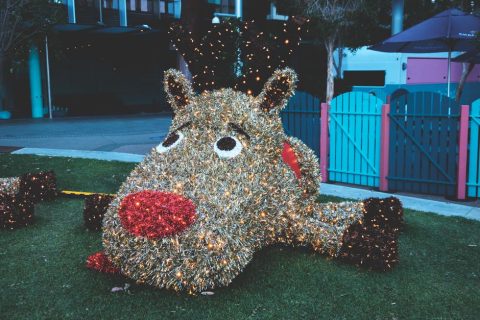 Resort Holiday Light Displays
