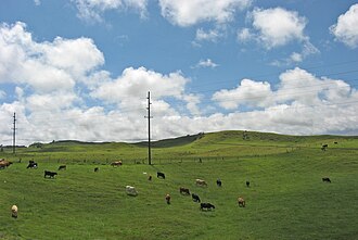 Waimea (Kamuela)