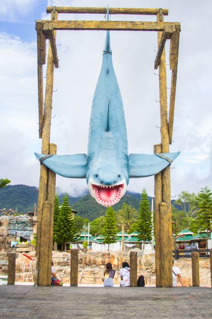 Big Kahuna's Water & Adventure Park
