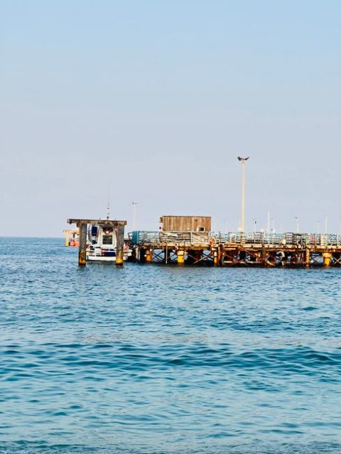 Destin Fishing Rodeo
